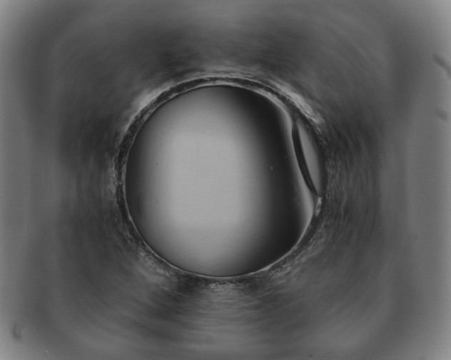 X0000091571264200708271150
