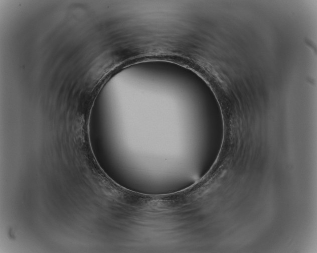 X0000091571265200708271150