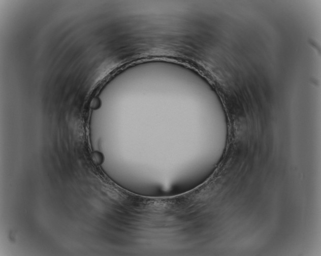 X0000091571266200708271150