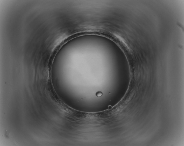 X0000091571267200708271150