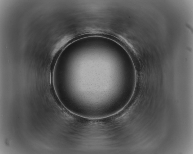 X0000091571269200708271150