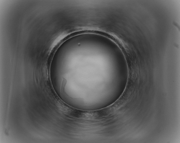 X0000091571271200708271150