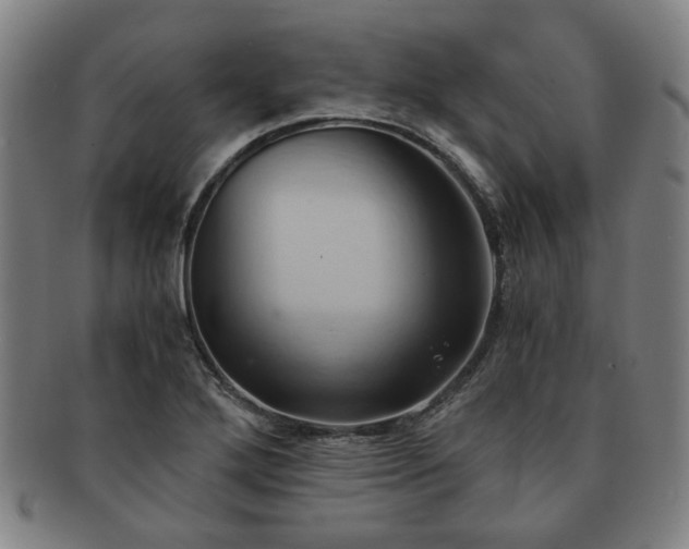 X0000091571272200708271150