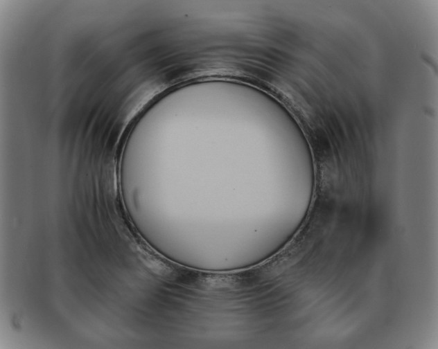 X0000091571274200708271150
