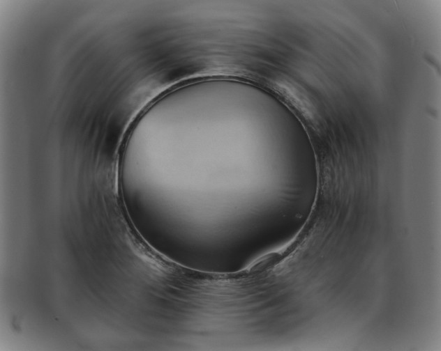 X0000091571276200708271150