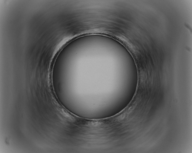 X0000091571278200708271150