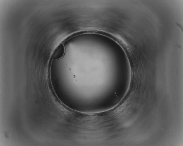 X0000091571279200708271150
