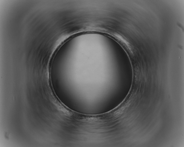 X0000091571280200708271150