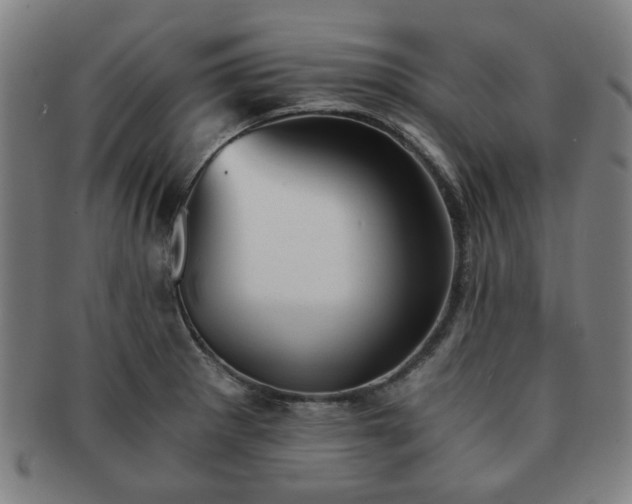 X0000091571281200708271149