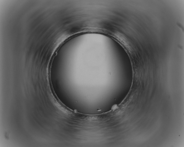X0000091571283200708271149