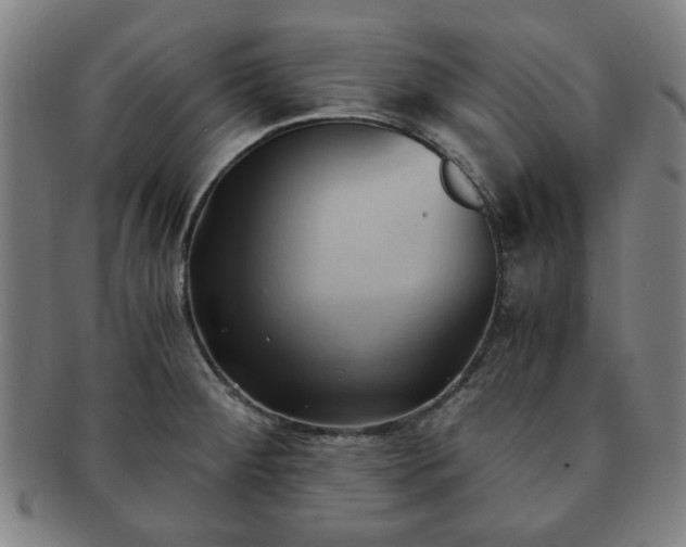X0000091571284200708271149