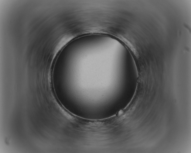 X0000091571285200708271149