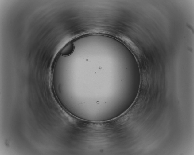 X0000091571286200708271149