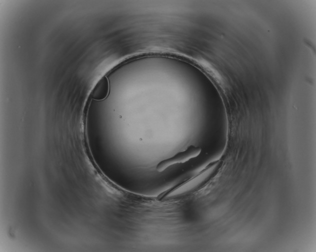 X0000091571287200708271149