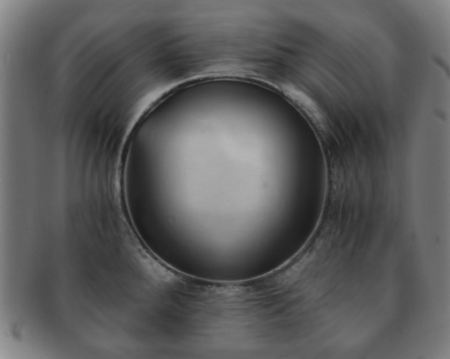 X0000091571288200708271149
