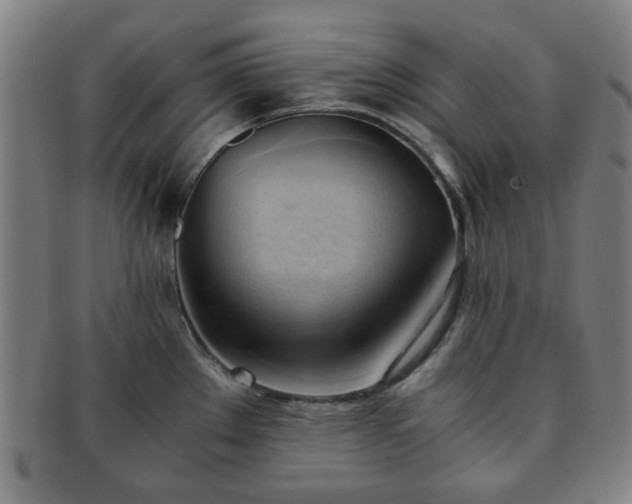 X0000091571289200708271149
