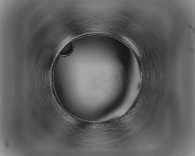 X0000091571291200708271149