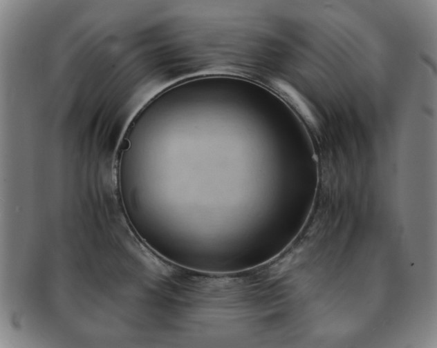 X0000091571292200708271149