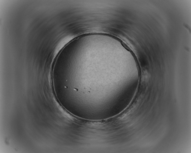 X0000091571293200708271149