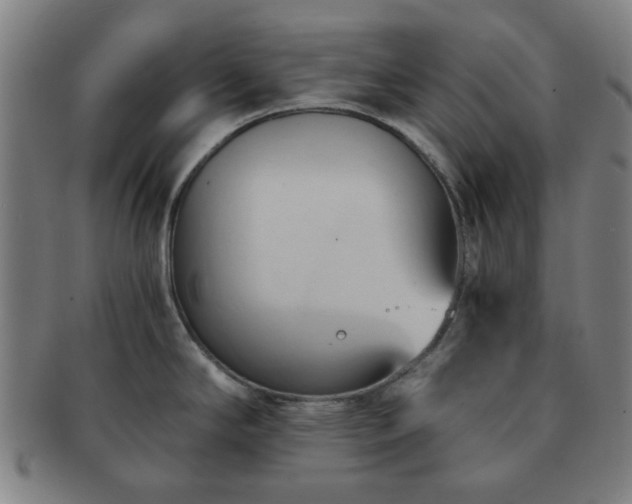 X0000091571294200708271149
