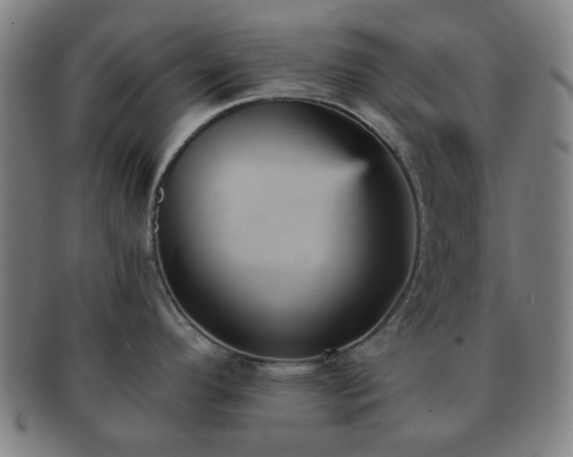 X0000091571296200708271149