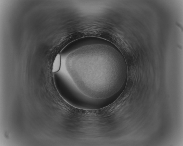 X0000091571297200708271149