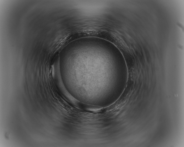 X0000091571298200708271149