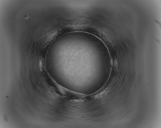 X0000091571300200708271149