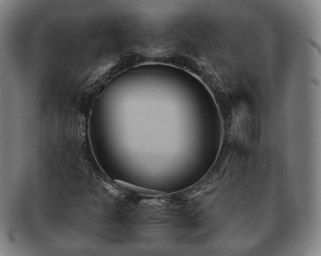 X0000091571301200708271149