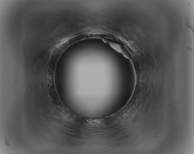 X0000091571303200708271149