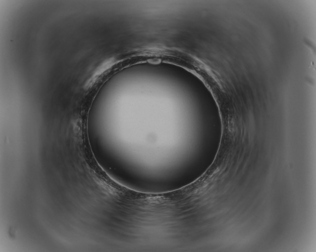 X0000091571304200708271149