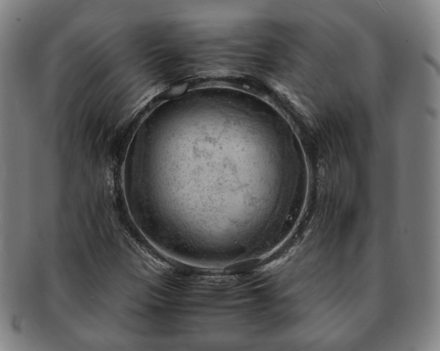 X0000091571305200708271149