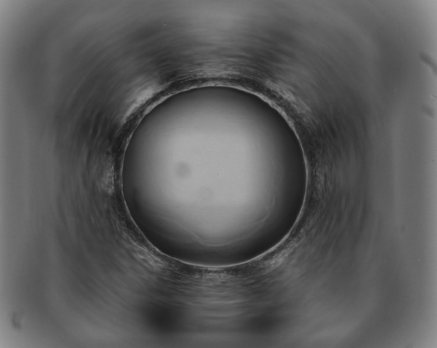 X0000091571306200708271149