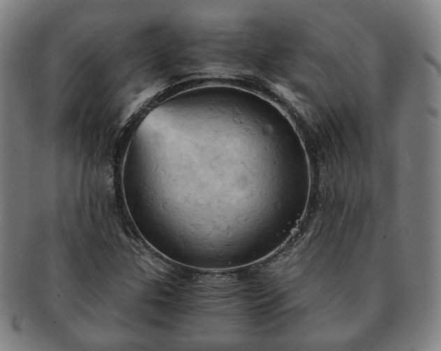 X0000091571307200708271149
