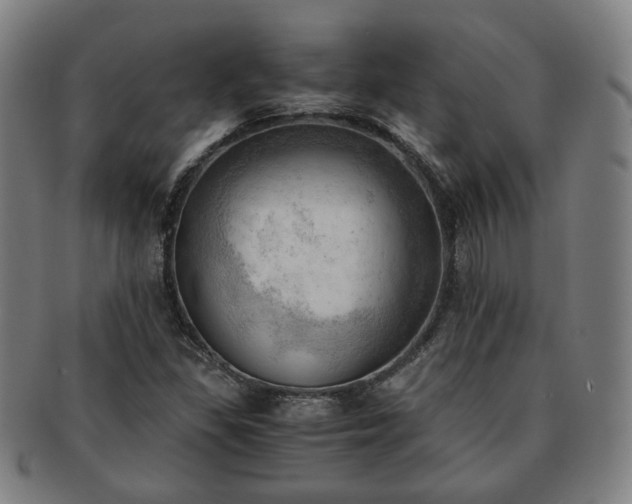 X0000091571309200708271149