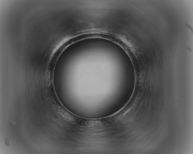 X0000091571310200708271149