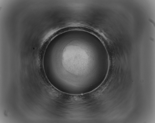 X0000091571311200708271149