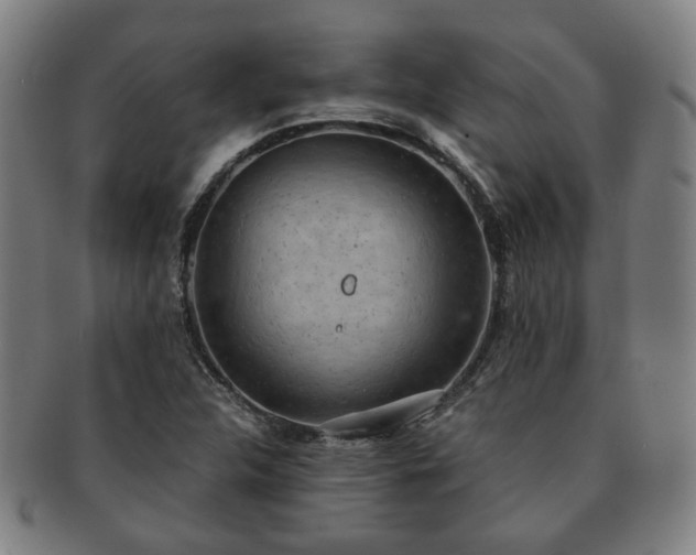 X0000091571312200708271149