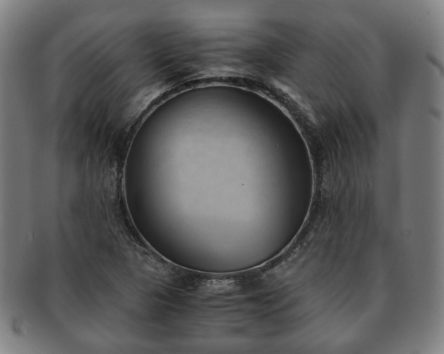 X0000091571313200708271149