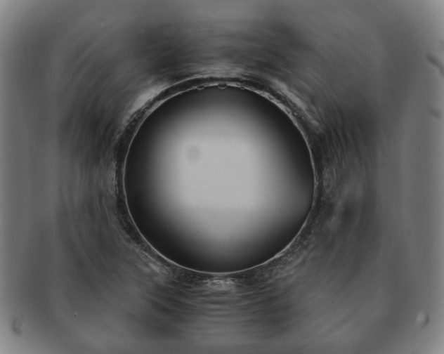 X0000091571315200708271149