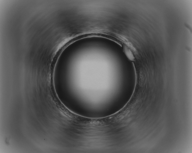 X0000091571316200708271149