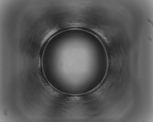 X0000091571317200708271149