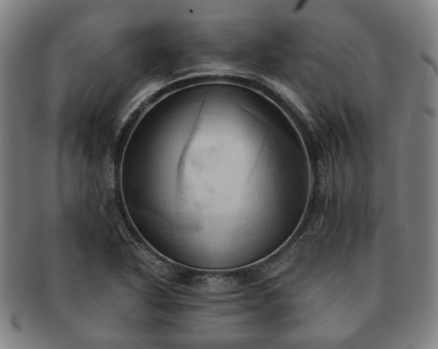 X0000091571318200708271149