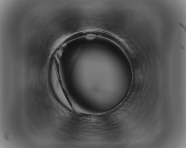 X0000091571319200708271149