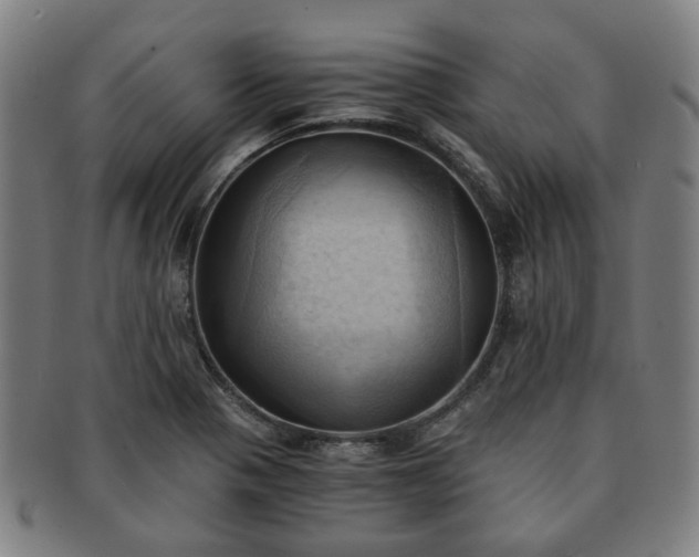 X0000091571321200708271149