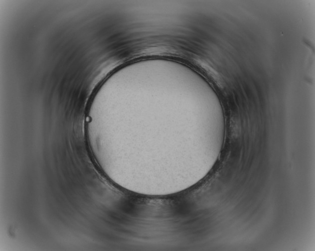 X0000091571322200708271149
