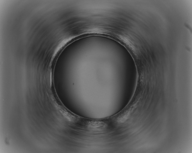 X0000091571323200708271149