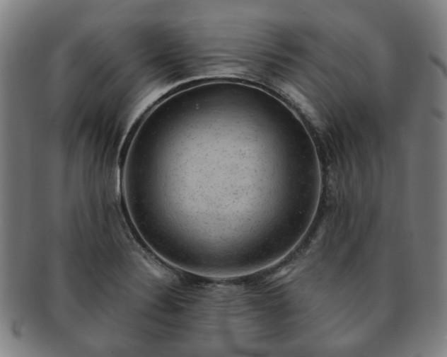 X0000091571324200708271149