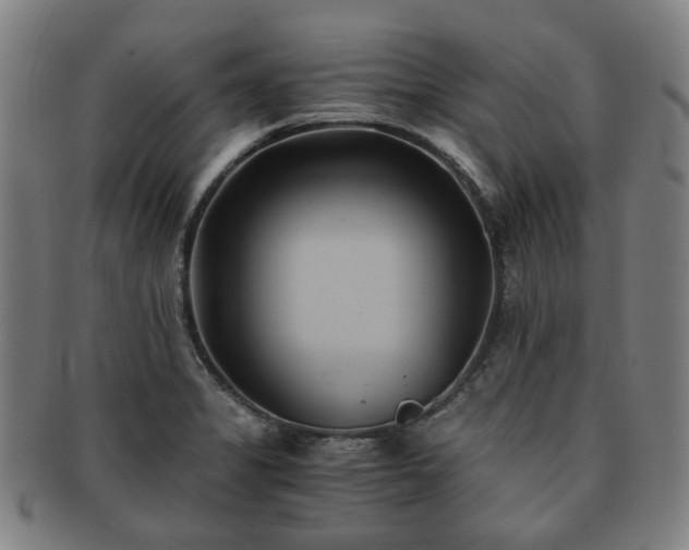 X0000091571325200708271149