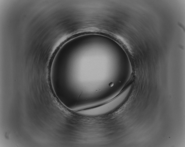 X0000091571326200708271149